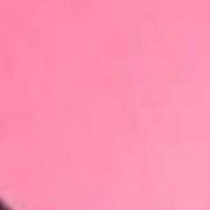 Meet your Posher, Leslie